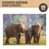 Palapeli Colorbaby Elephant 500 Kappaletta 6 osaa 61 x 46 x 0,1 cm