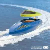 Radio-controlled boat Colorbaby (2 Units)