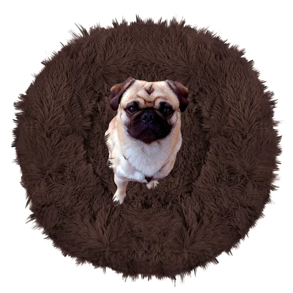 Dog or cat bed Springos PA0142 70 cm