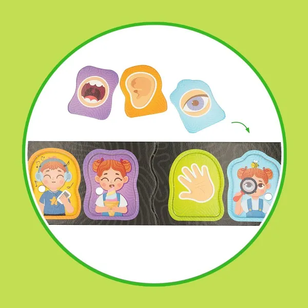 Izglītojošā Spēle Lisciani Giochi Baby Doctor 22,5 x 0,5 x 47,5 cm (6 gb.)