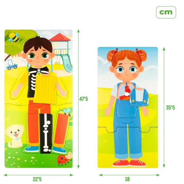 Opettavainen peli Lisciani Giochi Baby Doctor 22,5 x 0,5 x 47,5 cm (6 osaa)