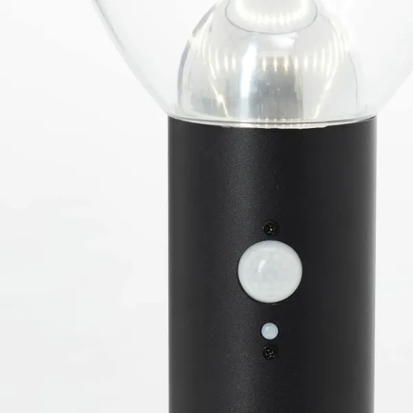 Solar lamp Brilliant Black 3 W