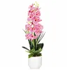 Artificial decorative flower Springos HA7426