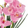 Artificial decorative flower Springos HA7426