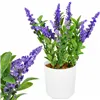 Artificial decorative flower Springos HA7429