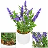 Artificial decorative flower Springos HA7429