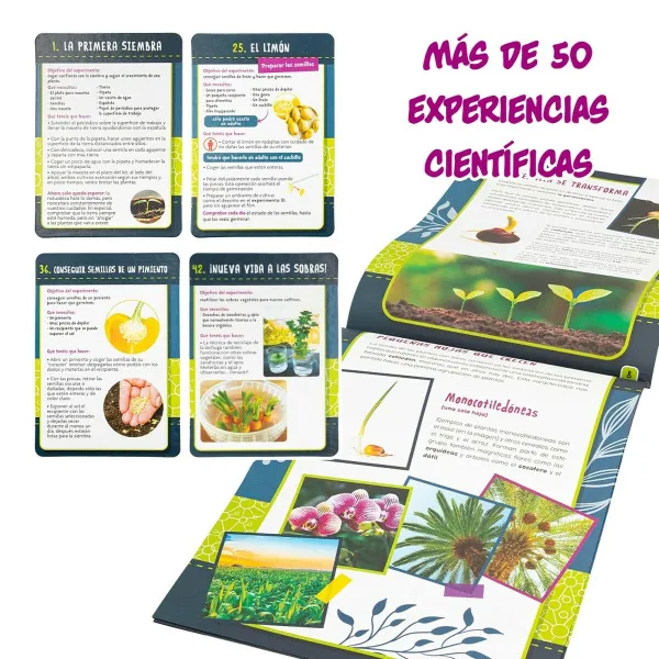 Mokslinis žaidimas Lisciani Giochi Botánica ES (6 vnt.)