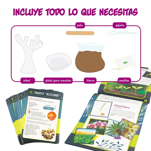 Mokslinis žaidimas Lisciani Giochi Botánica ES (6 vnt.)
