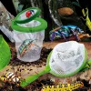 Teadusmäng Lisciani Giochi Insectos ES (6 Ühikut)