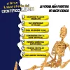 Научная игра Lisciani Giochi El gran laboratorio del científico loco ES (4 штук)