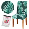 HA0202 UNIVERSAL CHAIR COVER