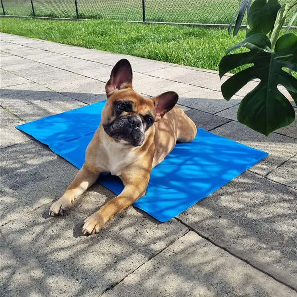 Cooling mat for animals Springos PA2003 40x30 cm