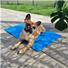 Cooling mat for animals Springos PA2003 40x30 cm