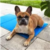 Cooling mat for animals Springos PA2003 40x30 cm