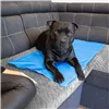 Cooling mat for animals Springos PA2004 50x40 cm