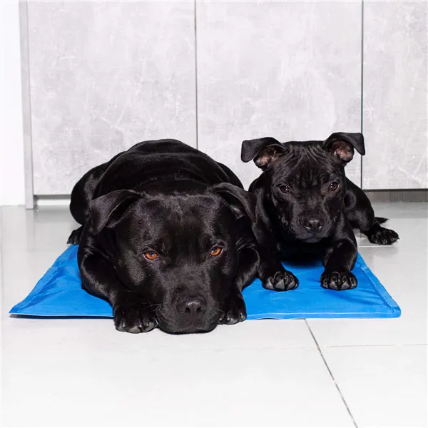 Cooling mat for animals Springos PA2004 50x40 cm