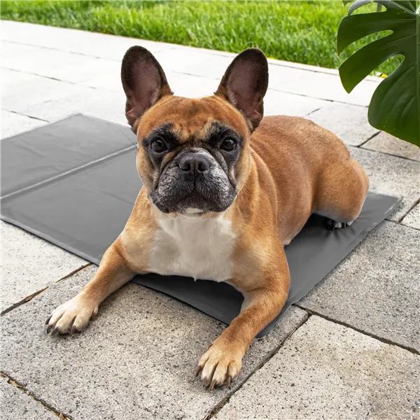 Aušinimo kilimėlis Springos PA2009