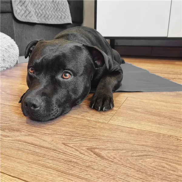 Aušinimo kilimėlis Springos PA2009