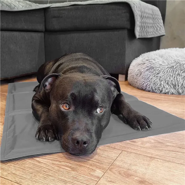 Aušinimo kilimėlis Springos PA2009