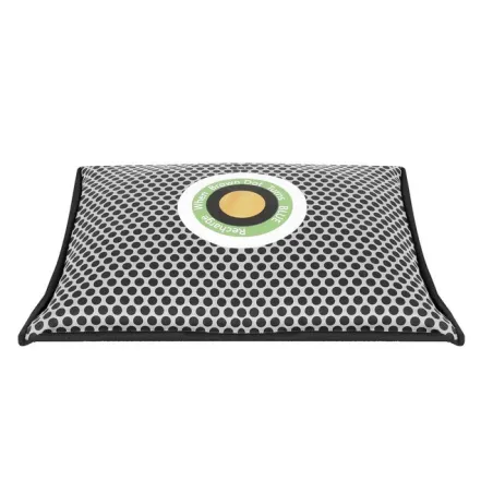Dehumidifier - moisture absorber for the car