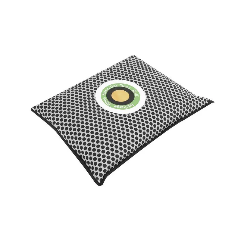 Dehumidifier - moisture absorber for the car