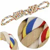 Springos dog toy PA1066