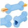 Springos dog chew toy PA1063