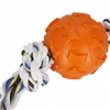 Springos dog toy PA1069