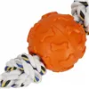 Springos dog toy PA1069