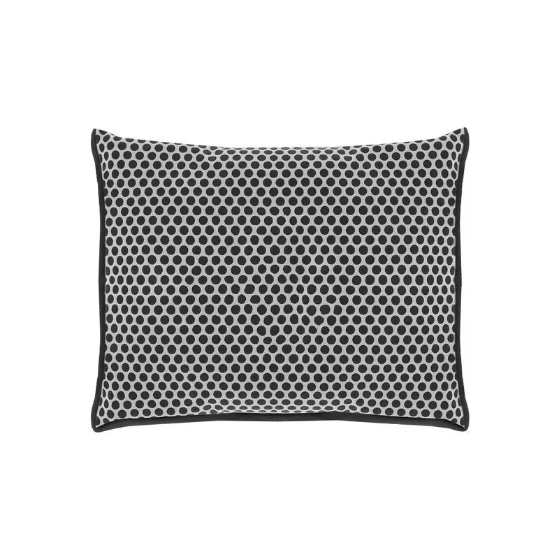 Dehumidifier - moisture absorber for the car