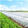 Winter agrotextile Springos AG0019 50g/m2 5x3.2m white