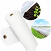 Winter agrotextile Springos AG0001 70g/m2 50x1,1m white