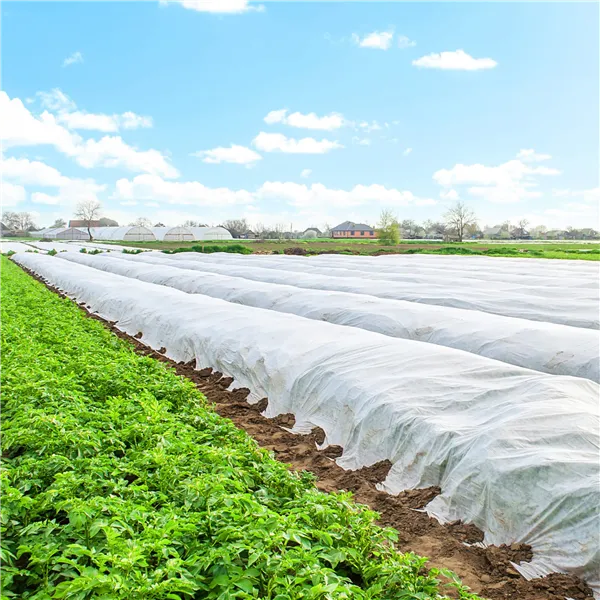 Winter agrotextile Springos AG0007 17g/m2 50x1,6m white