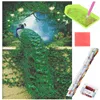 Art kit Springos daimond painting DP0047