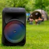 Speaker with Karaoke Microphone Bontempi 2 Units