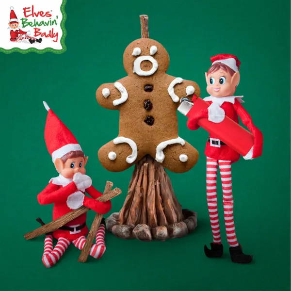 Neklausīgs Elfs Elves Behavin' Badly Elvie and Elfie (6 gb.)