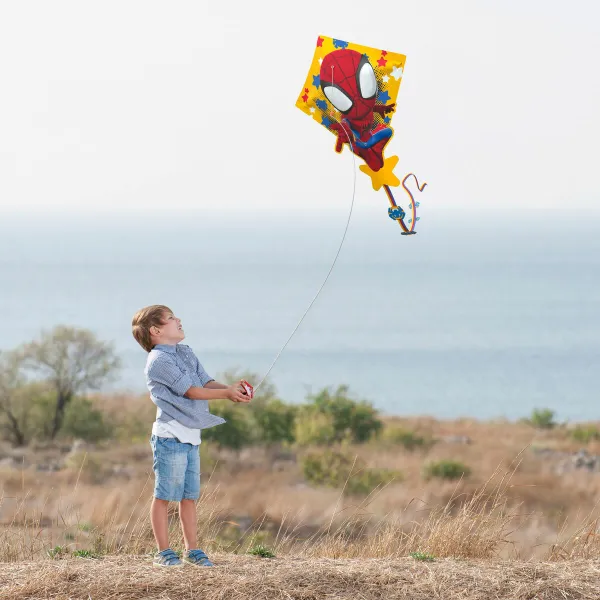 Comet Spider-Man 55 X 68 X 2 CM (6 Units)