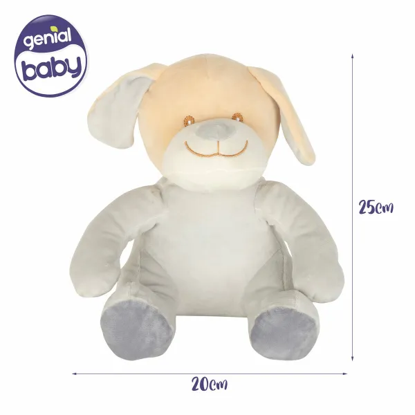 Pūkaina Rotaļlieta Colorbaby Poliesters 20 x 25 x 20 cm (6 gb.)