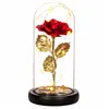 Eternal rose in glass Springos HA5160