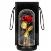 Eternal rose in glass Springos HA5160