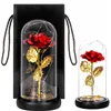 Eternal rose in glass Springos HA5160