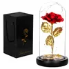 Eternal rose in glass Springos HA5160