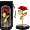 Eternal rose in glass Springos HA5160