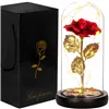 Eternal rose in glass Springos HA5160