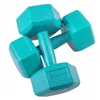 Dumbbell Set Springos FA1033 2 X 2,5kg