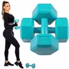 Dumbbell Set Springos FA1033 2 X 2,5kg