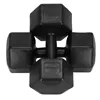 Hex dumbbells Springos FA1065 2 x 10kg