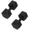 Hex dumbbells Springos FA1065 2 x 10kg