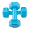 Hex Dumbbell Springos FA1030 2 x 1 kg