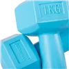 Hex Dumbbell Springos FA1030 2 x 1 kg